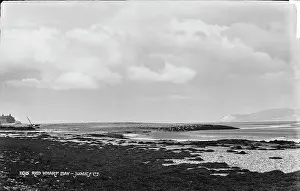 Seaweed Prints: Red Wharf Bay