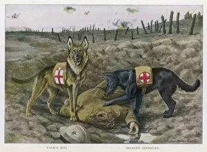 Named Collection: Redcross War Dogs Rescue