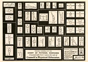 Bending Prints: Reduced facsimile of a Chart of Physical Exercises