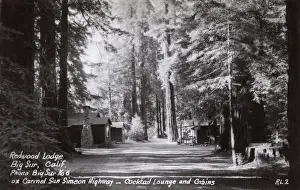Californian Prints: Redwood Lodge, Big Sur, Monterey County, California, USA