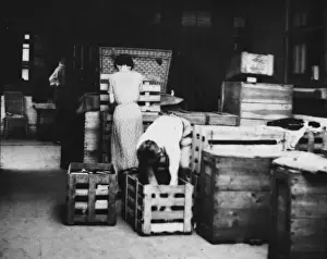 Belongings Prints: Refugee storage WWII