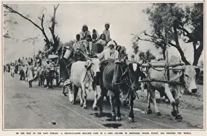 Extended Prints: Refugees leave East Punjab to head to India