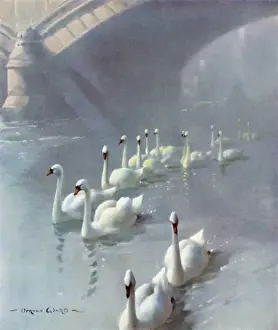 Regal Procession by Vernon Ward