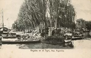 River Bank Collection: Regatta on the banks of the Lujan River, Tigre, Argentina