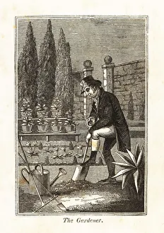 Workplace Prints: Regency gardener digging a flowerbed in a walled garden