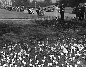 Regents Prints: Regents Park 1950S