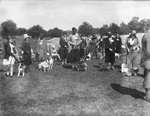 Regents Park Dog Show