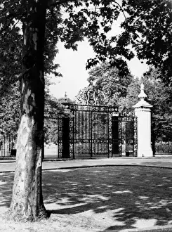 Iron Work Prints: Regents Park Gates