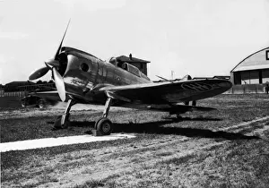 Falco Prints: Reggiane Re2000 Falco Srs 3 -This Italian fighter was a