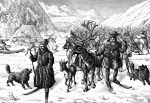 Lapland Prints: Reindeer 1878