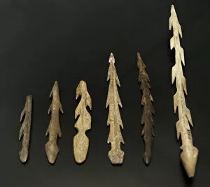 Antler Gallery: Reindeer antler harpoons. 9500 BC