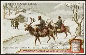 Reindeer Used for Mail