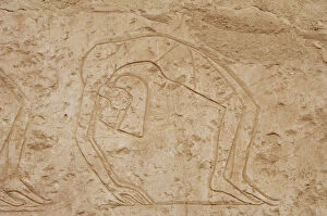 Relief depicting a contortionists dancer. Temple of Hatsheps