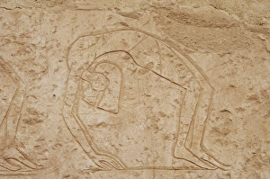 Relief depicting a contortionists dancer. Temple of Hatsheps Relief depicting a contortionists dancer. Temple of Hatsheps