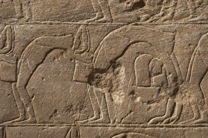 Images Dated 26th November 2003: Relief depicting a group of dancers