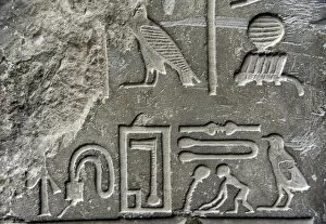 Relief depicting an hieroglyph. Detail. Tomb of Setju. Sakka