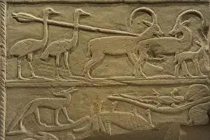 Fragment Prints: Relief depicting a hunting scene with ostrichs and ibexes. E