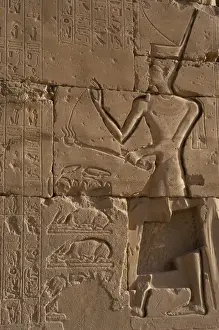 Offerer Prints: Relief depicting a Pharaoh, probably Ramses II, offering inc