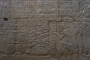 Images Dated 26th November 2003: Relief depicting a religious offering