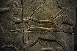 Images Dated 12th December 2013: Relief depicting a war chariot. Orthostat. Basalt. 9th centu