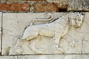 Albanian Collection: Relief with a lion. Mesopotam. Albania
