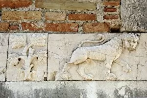 Thirteenth Collection: Relief with a lion and tree. Mesopotam. Albania