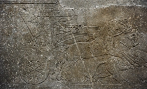 Assyrian Gallery: Relief of the palace of Ashurnasirpal II or Northwest Palace