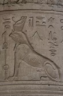 Images Dated 30th November 2003: Reliefs representing a falcon-headed sphinx. Temple of Horus