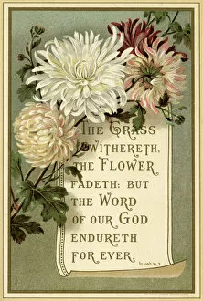 Images Dated 15th November 2020: Religious verse 1887