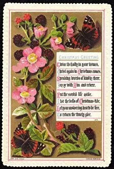 Images Dated 26th June 2018: Religious verse with pink flowers on a Christmas card