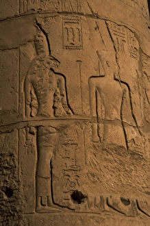 Images Dated 26th November 2003: Rellief depicting goddess Sekhmet or Sekhmet, head of a lion