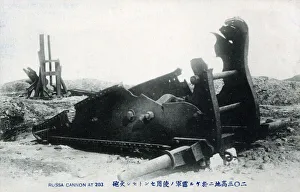 Images Dated 16th June 2020: Remains of Russian Cannon on 203 Hill