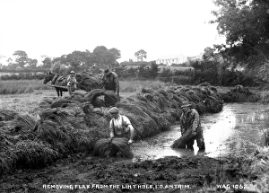 Removing Gallery: Removing Flax from the Lint Hole, Co. Antrim