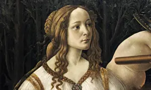 Goddess Prints: Renaissance Art. Italy. Sandro Botticelli (1445-1510). Venus