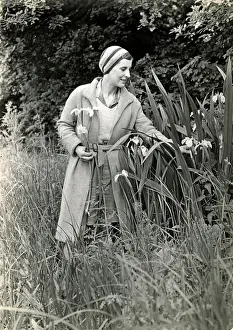 Picks Prints: Rene Fraser gathering flowers