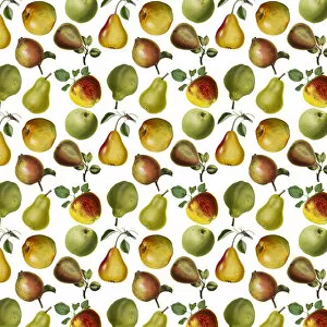 Images Dated 12th July 2017: Repeating Pattern - Apples and Pears