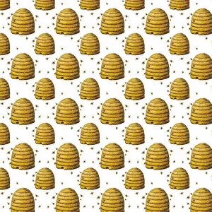 Images Dated 20th April 2016: Repeating Pattern - Beehives