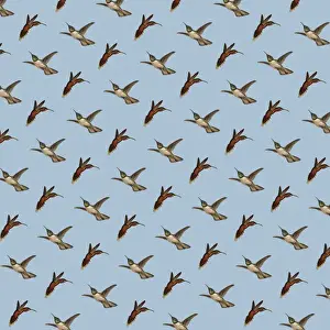 Repeating Pattern - Birds