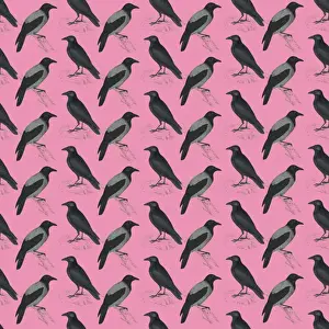 Repeating Pattern - Crows and Jackdaws