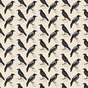 History Repeats Itself Prints: Repeating Pattern - Crows and Jackdaws