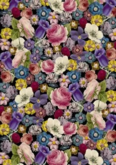 Images Dated 22nd April 2016: Repeating Pattern - Floral Assemblage of flowers