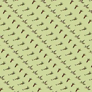 Repeating Pattern - Hummingbirds