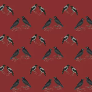 Images Dated 29th April 2016: Repeating Pattern - Jackdaws