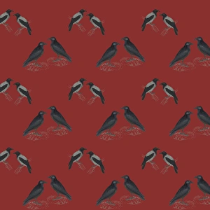 Images Dated 29th April 2016: Repeating Pattern - Jackdaws