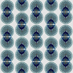 Images Dated 10th July 2017: Repeating Pattern - peacocks, white