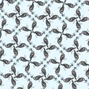 Repeating Pattern - Pigeons