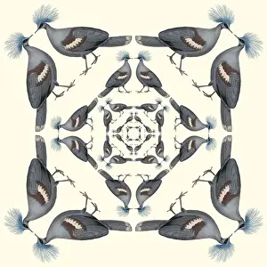 Repeating Pattern - Pigeons