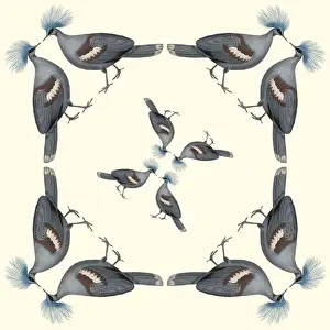 Repeating Pattern - Pigeons
