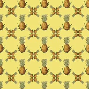 History Repeats Itself Gallery: Repeating Pattern - Pineapples