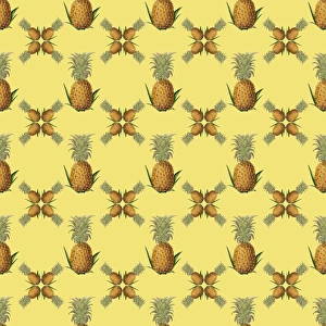 History Repeats Itself Gallery: Repeating Pattern - Pineapples